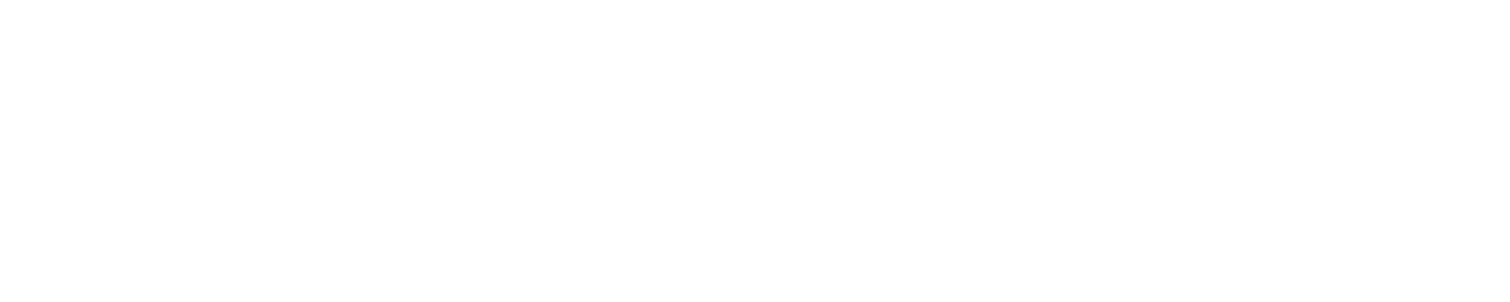CalamariLLC Logo